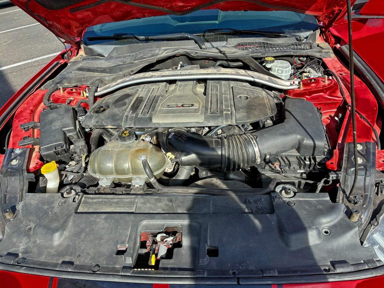2019 FORD MUSTANG