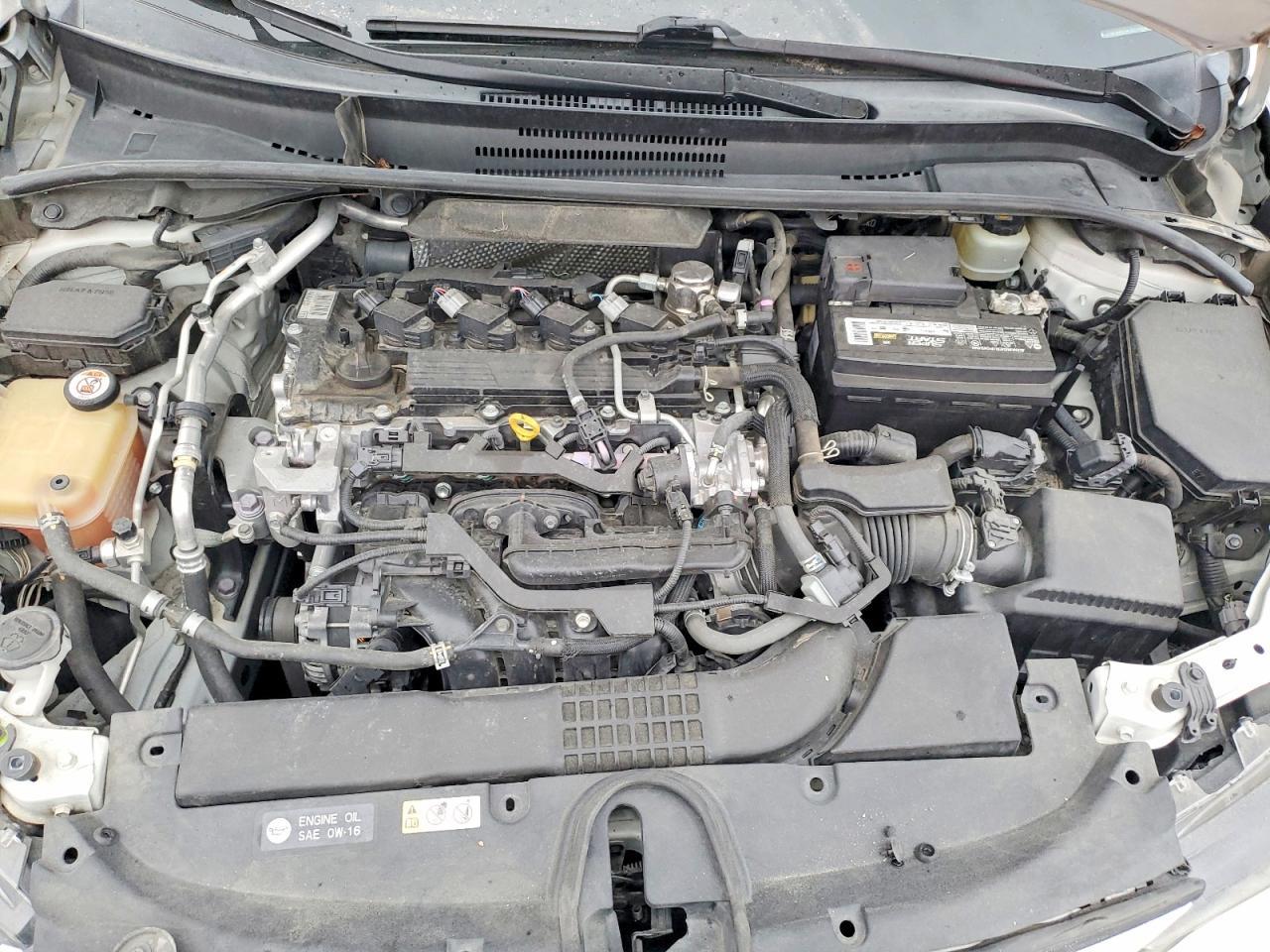 2019 TOYOTA COROLLA