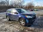 2010 HONDA CR-V