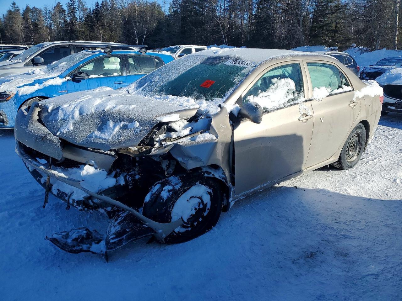 2010 TOYOTA COROLLA