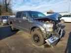 2017 FORD F-150 Lightning