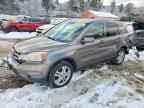 2010 HONDA CR-V