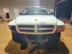 2003 DODGE Dakota