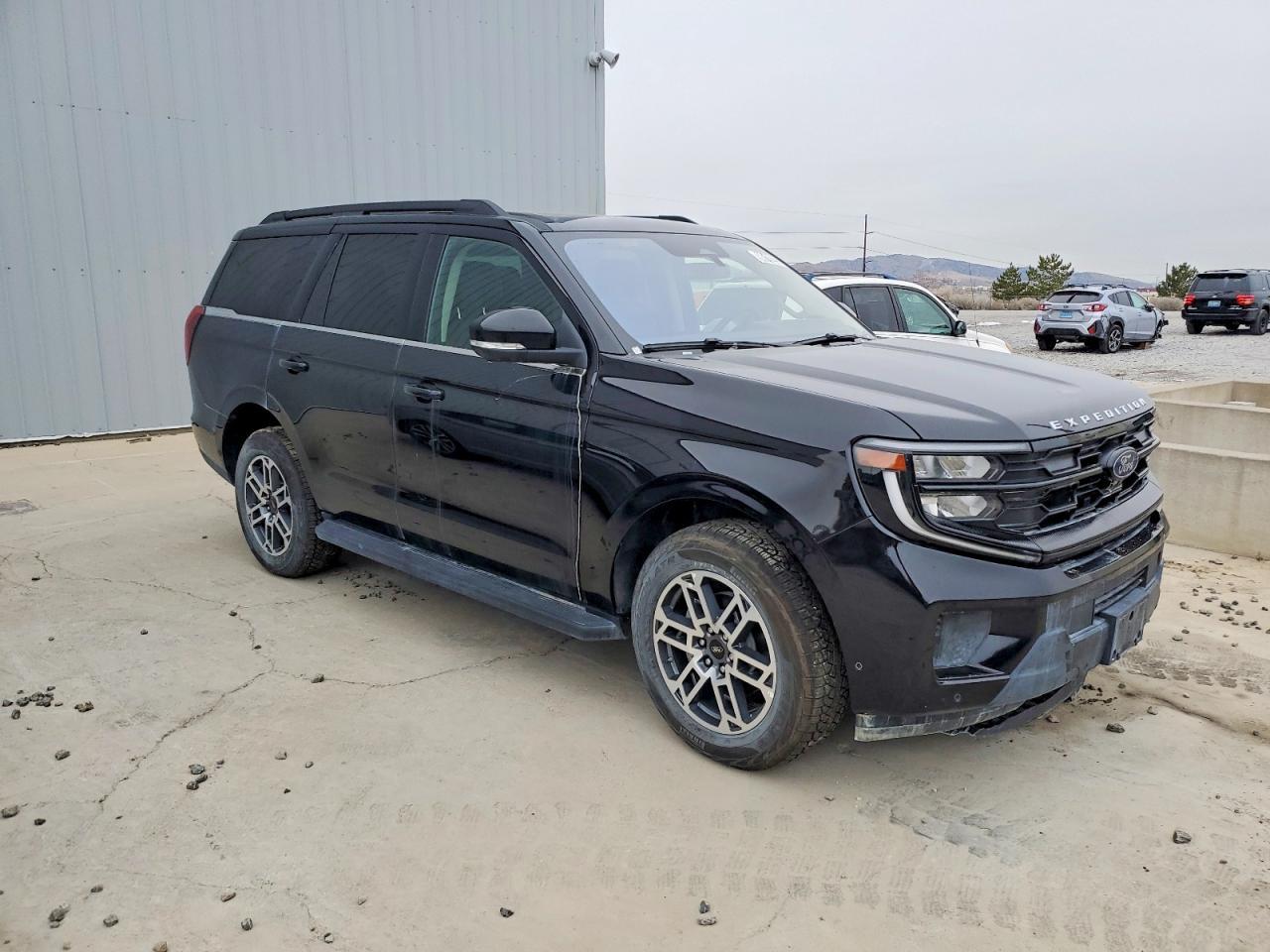 2025 FORD Expedition