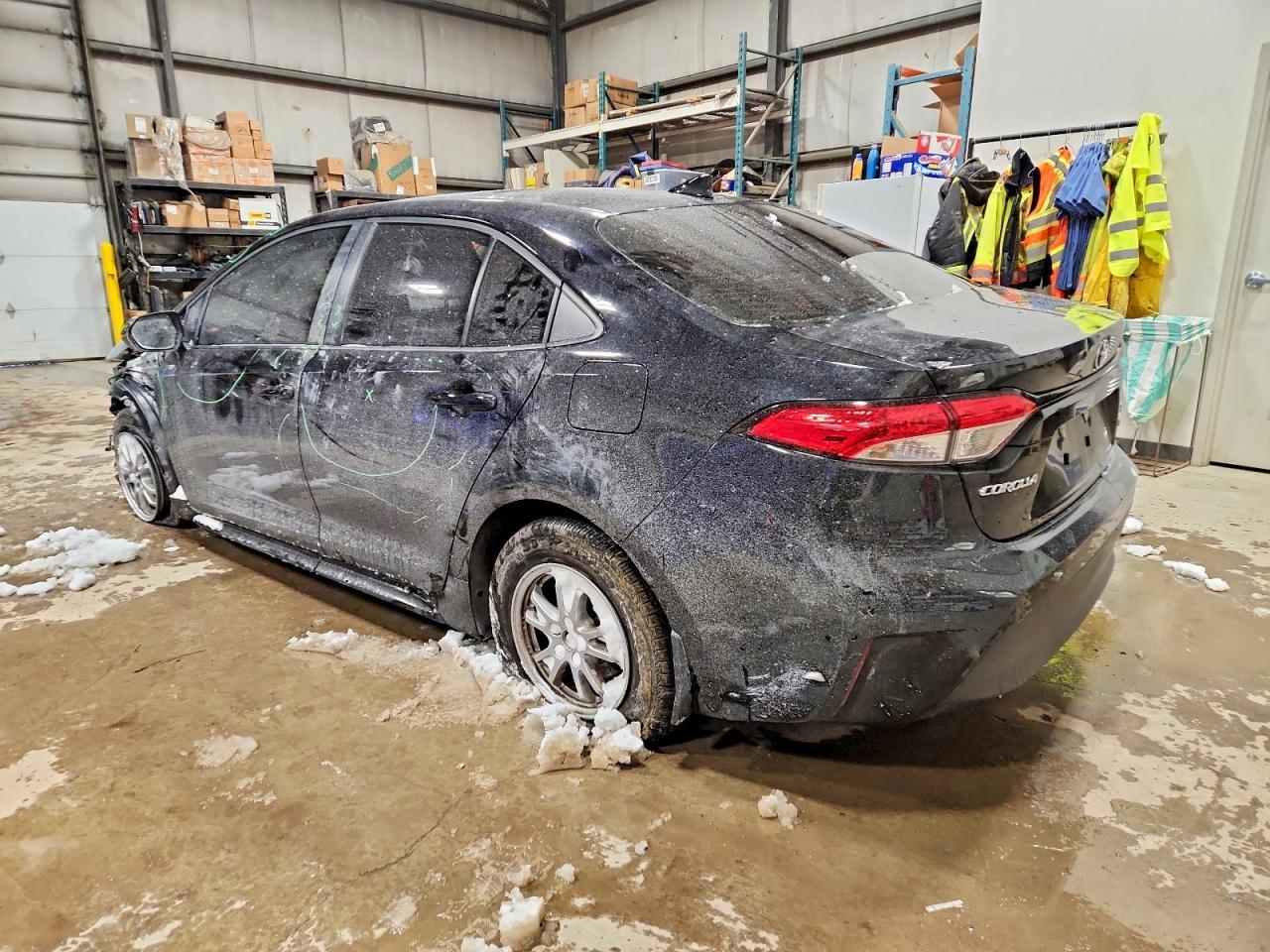 2023 TOYOTA COROLLA