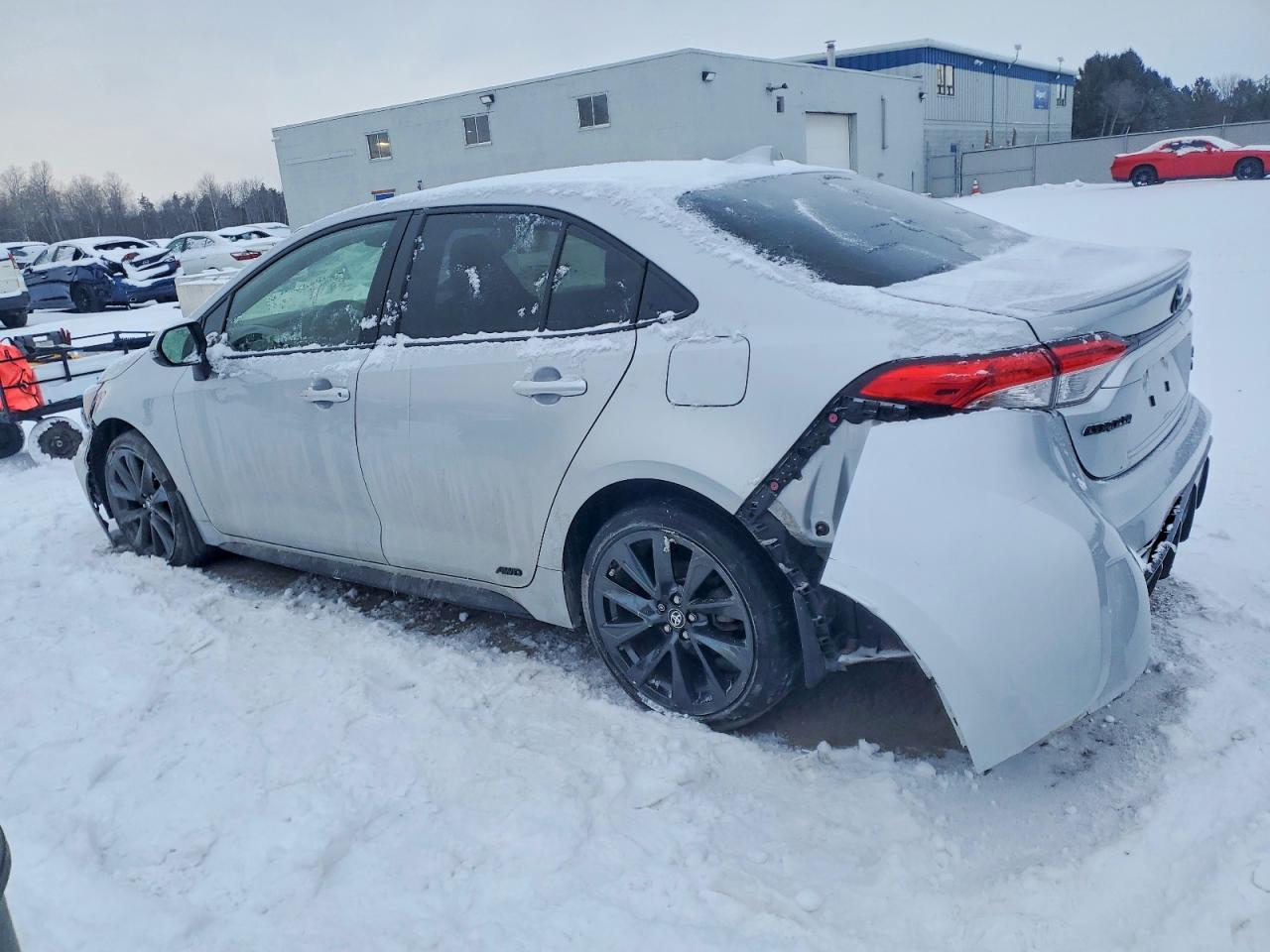 2024 TOYOTA COROLLA