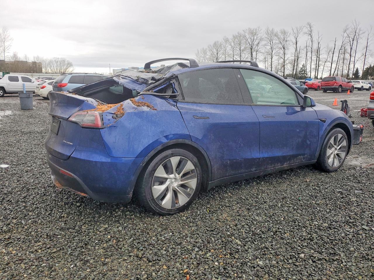 2023 TESLA MODEL Y