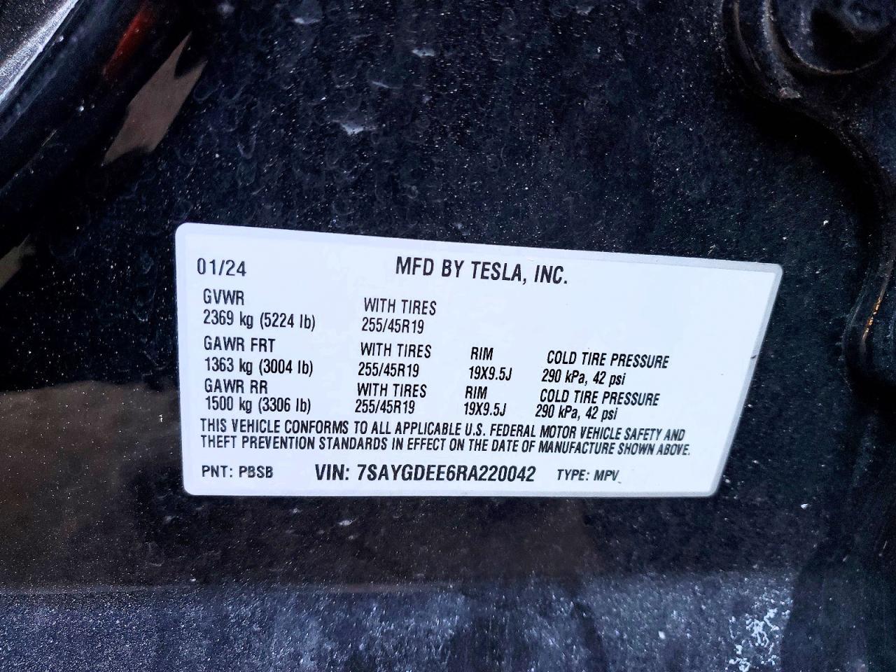2024 TESLA MODEL Y