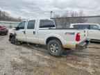 2014 FORD F-250