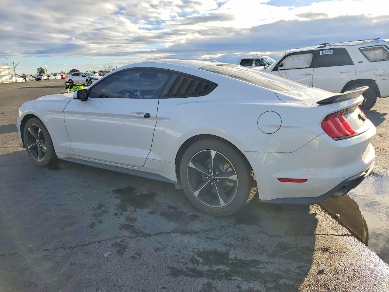 2019 FORD MUSTANG