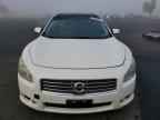 2010 NISSAN Maxima