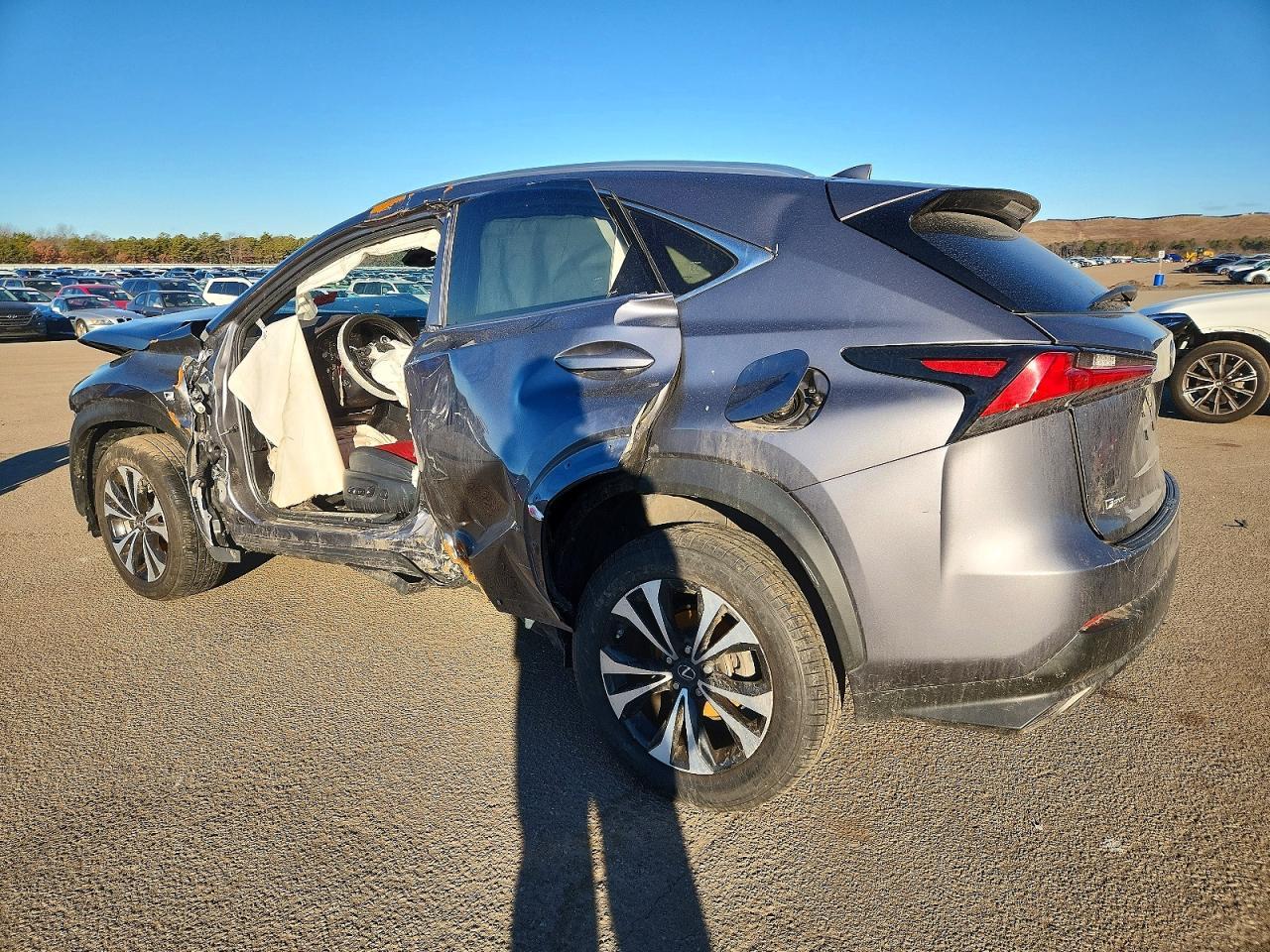 2021 LEXUS NX 300