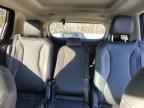 2025 KIA Carnival