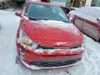 2023 KIA RIO