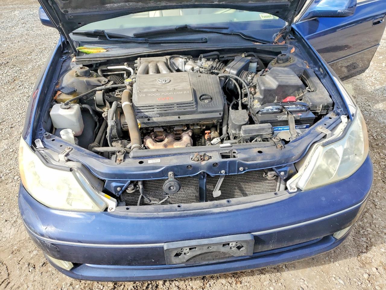 2004 TOYOTA Avalon