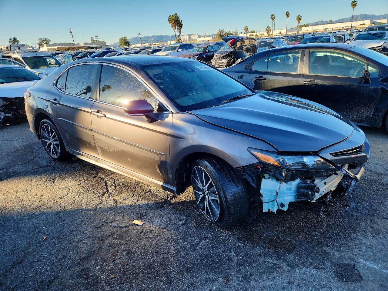 2023 TOYOTA CAMRY