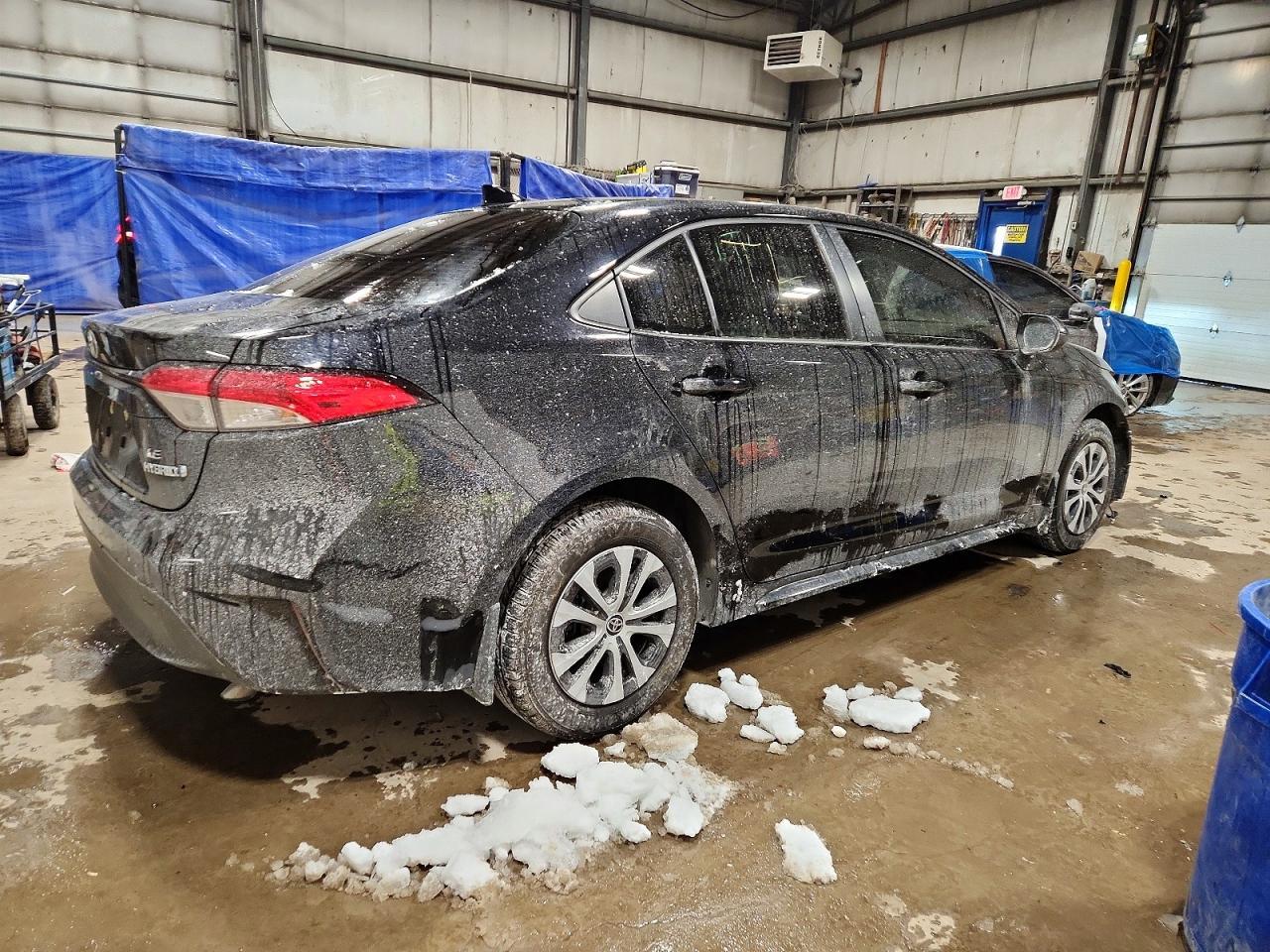 2023 TOYOTA COROLLA