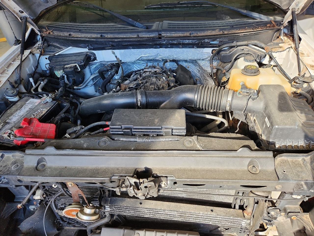 2011 FORD F-150