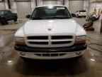 2003 DODGE Dakota