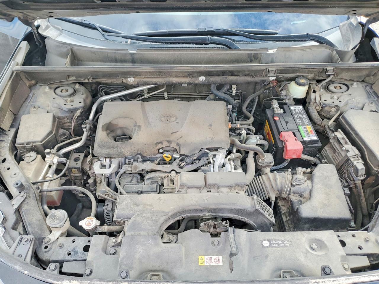 2019 TOYOTA RAV4