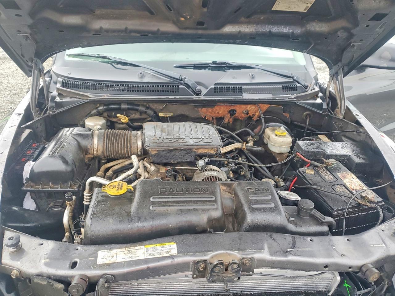 2004 DODGE Dakota