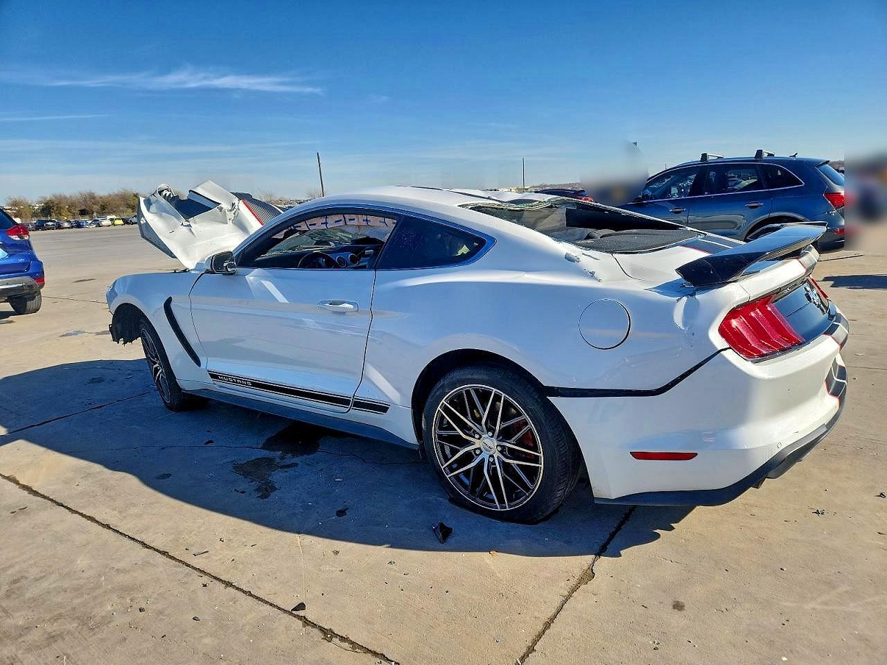 2019 FORD MUSTANG
