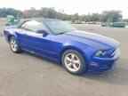 2013 FORD MUSTANG
