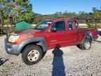 2007 TOYOTA TACOMA