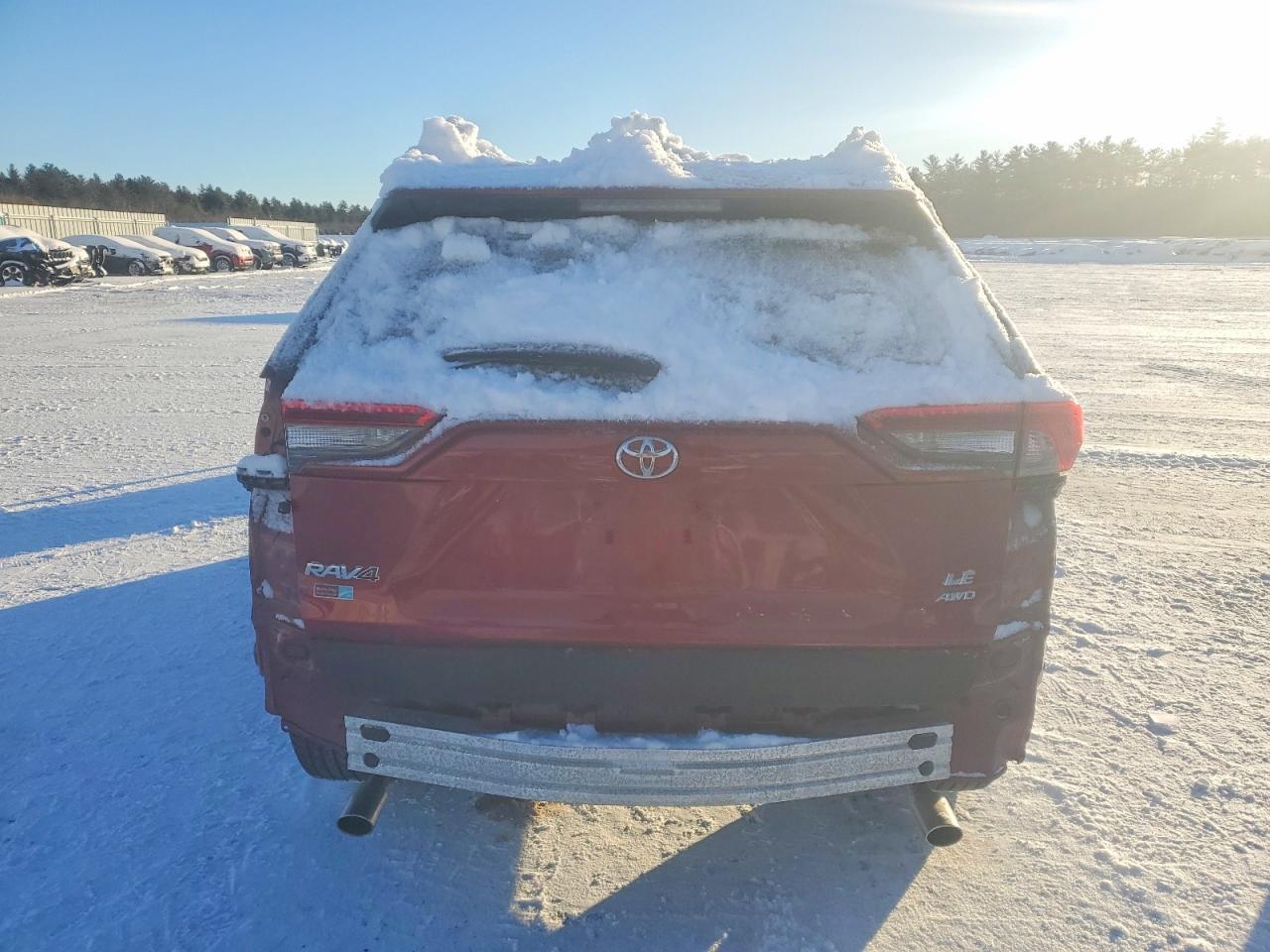 2019 TOYOTA RAV4