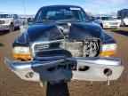 2000 DODGE Dakota