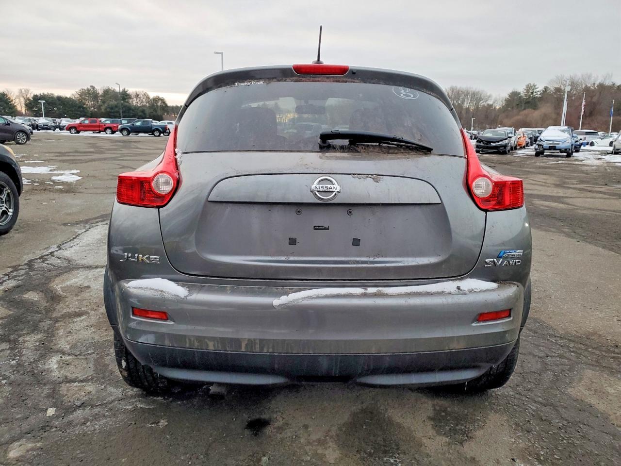 2011 NISSAN Juke