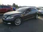 2007 LEXUS LS 460
