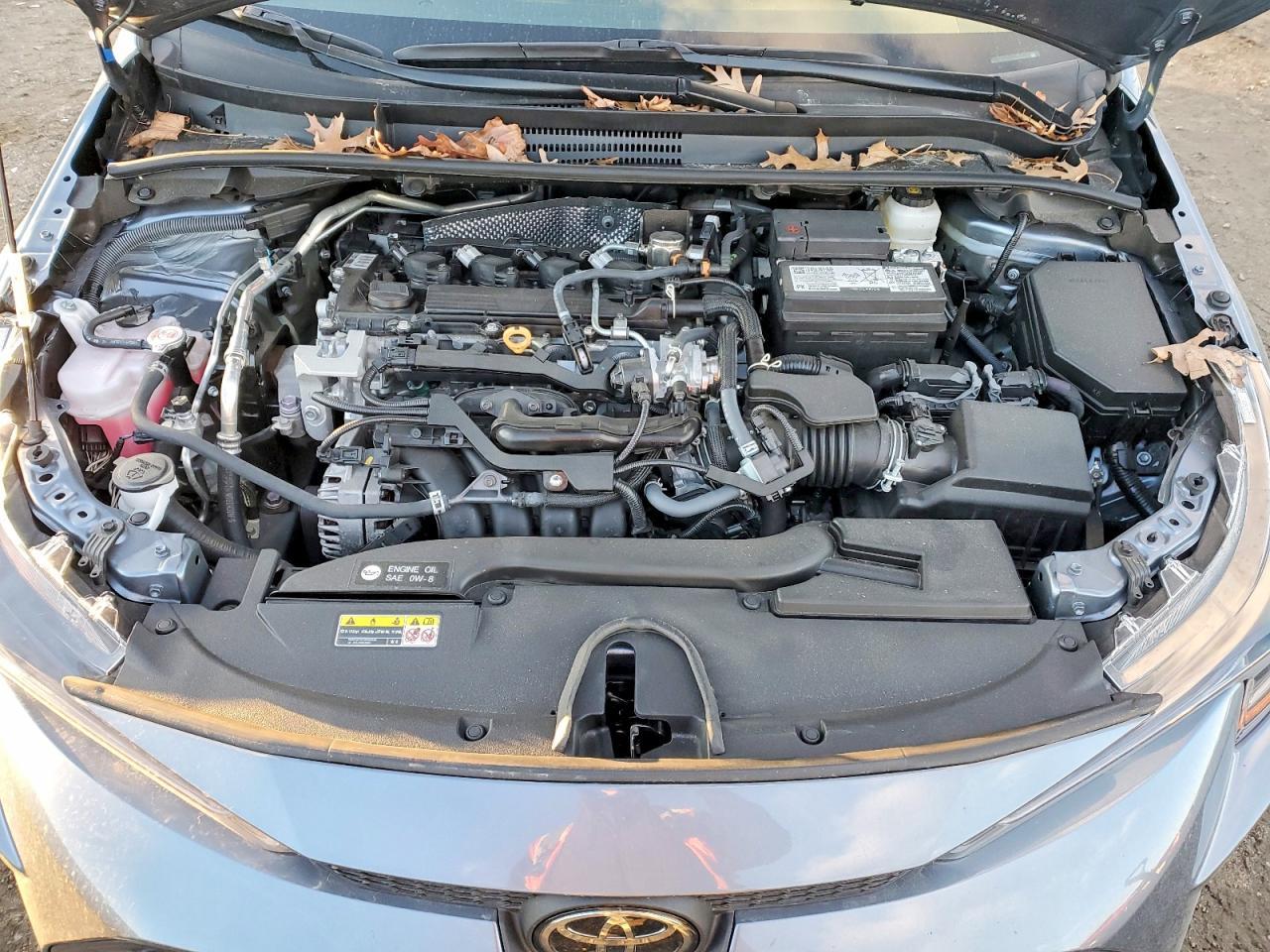 2025 TOYOTA COROLLA