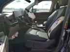 2026 KIA Carnival