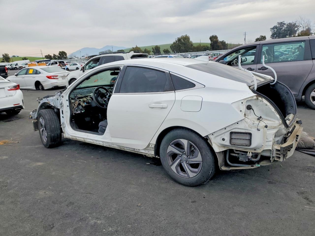 2019 HONDA Insight