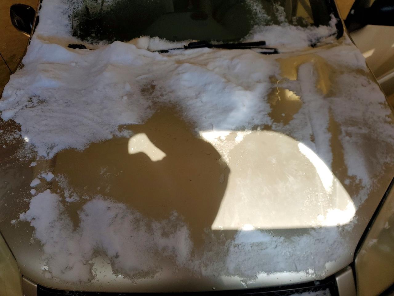 2005 TOYOTA RAV4