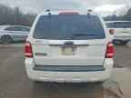 2009 FORD ESCAPE