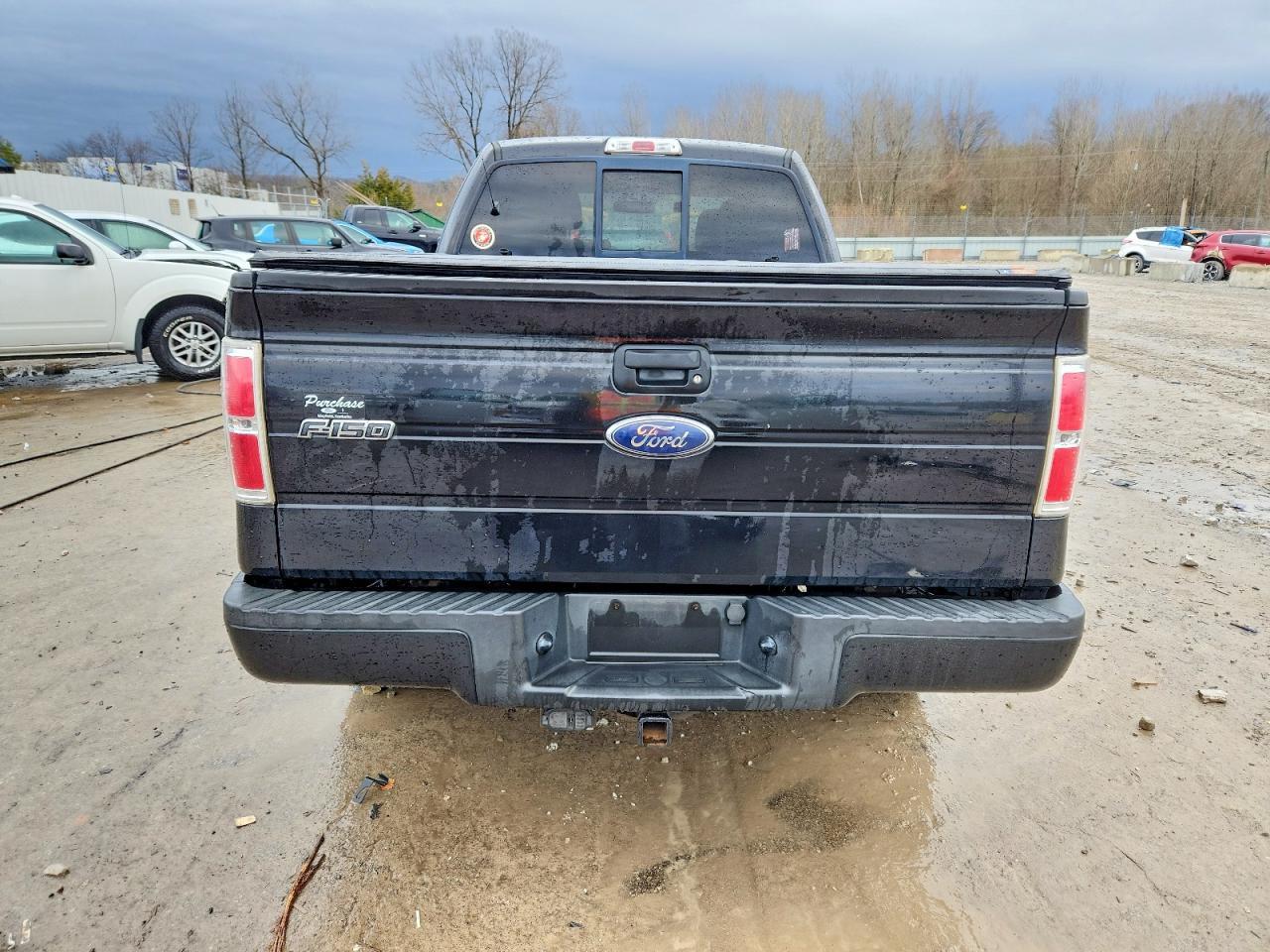 2010 FORD F-150