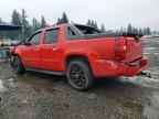 2007 CHEVROLET Avalanche