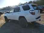 2024 TOYOTA 4Runner