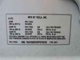 2023 TESLA MODEL Y