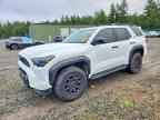 2025 TOYOTA 4Runner