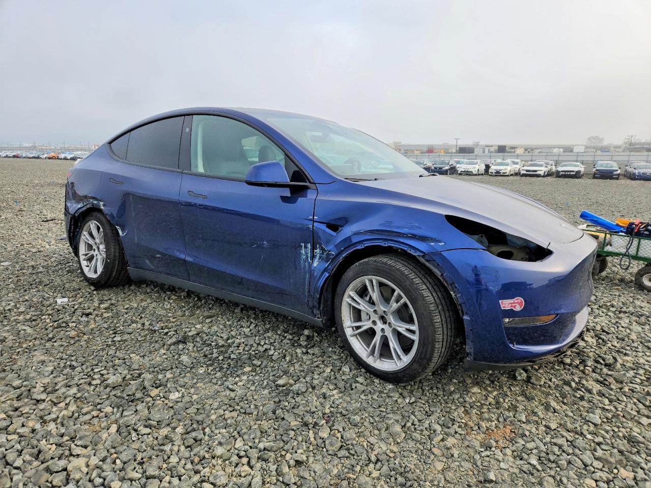 2024 TESLA MODEL Y