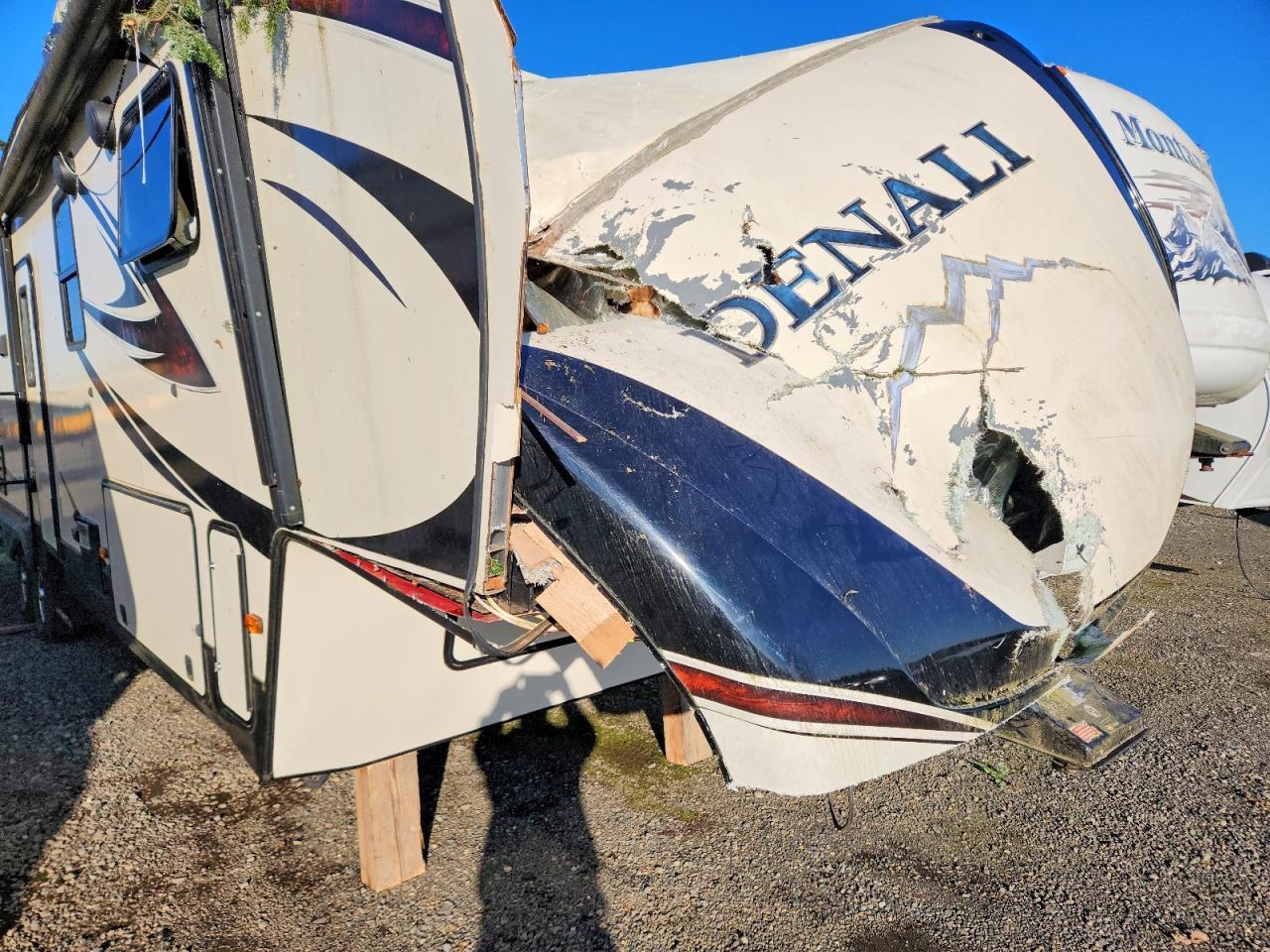 2017 Dena Camper