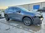 2024 LEXUS NX 250