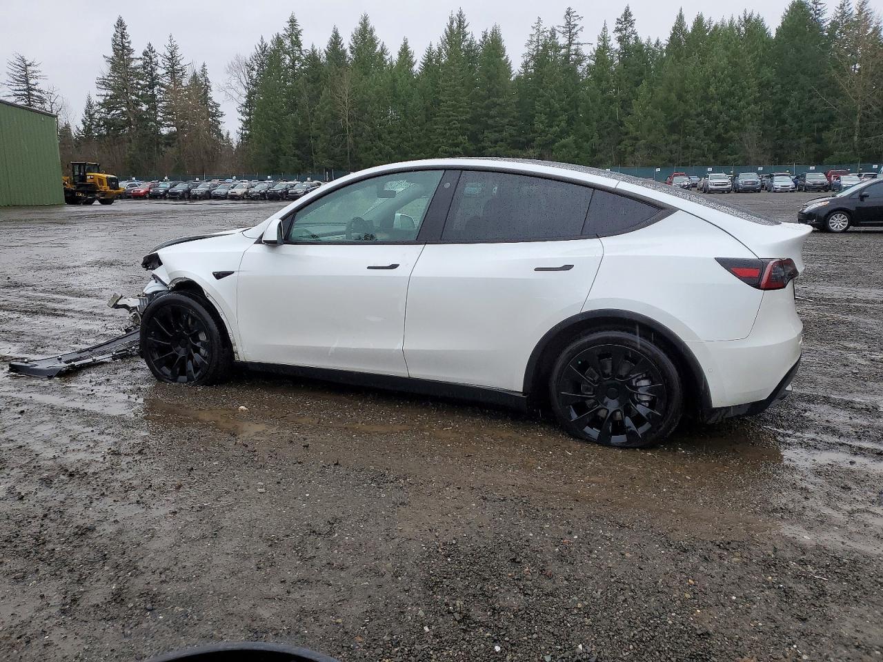 2021 TESLA MODEL Y