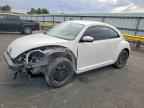 2014 VOLKSWAGEN Beetle