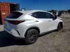 2024 LEXUS NX 250