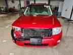 2009 FORD ESCAPE