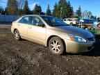 2004 HONDA ACCORD